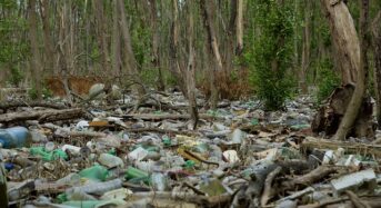 Küzdelem a műanyag áradat ellen