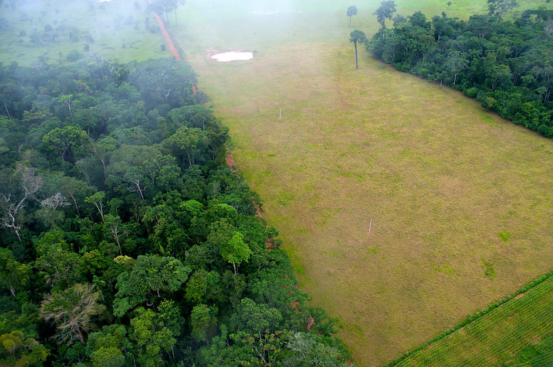 Erdőirtás az Amazonas térségében Rio Branco közelében, a brazíliai Acre államban