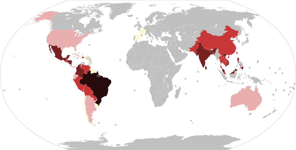 A dengue terjedésének térképe a 2019-2020-as évekre vonatkozóan