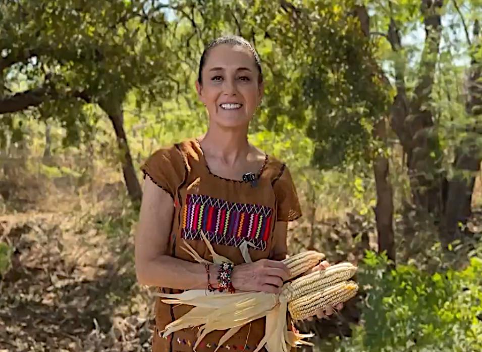 Sheinbaum Oaxaca államban tett látogatása során mutatta be a kezdeményezést