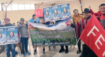 Második forduló Ecuadorban: kit támogatnak az őslakos szervezetek?