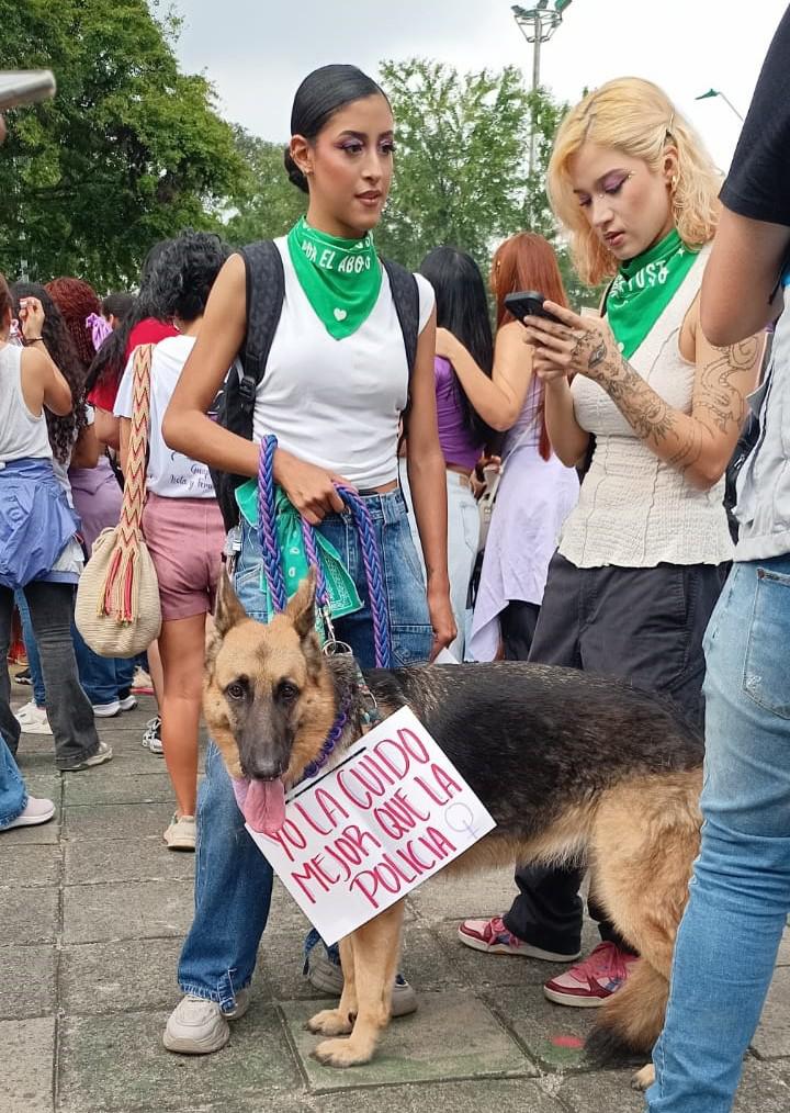 „Jobban vigyázok rájuk, mint a rendőrség”. Nőnap Caliban