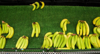 Chiquita a szakszervezetek ellen