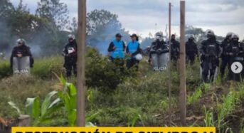 A Smurfit vállalat erőszakkal telepíti ki az őslakosokat Kolumbiában