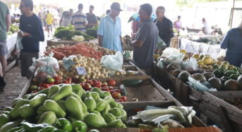 Hatékony szociálpolitika: Brazília sikeresen küzd az alultápláltság ellen