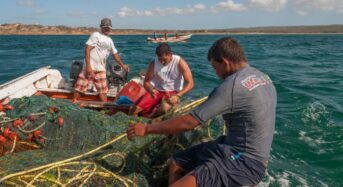 Kína halászflottája szabályozatlanul halászik Ecuador, Peru és Argentína partjainál
