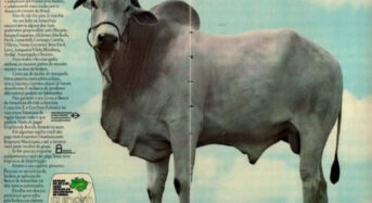 Brazília: A Volkswagennek több millió dolláros bírságot kell fizetnie rabszolgamunkáért