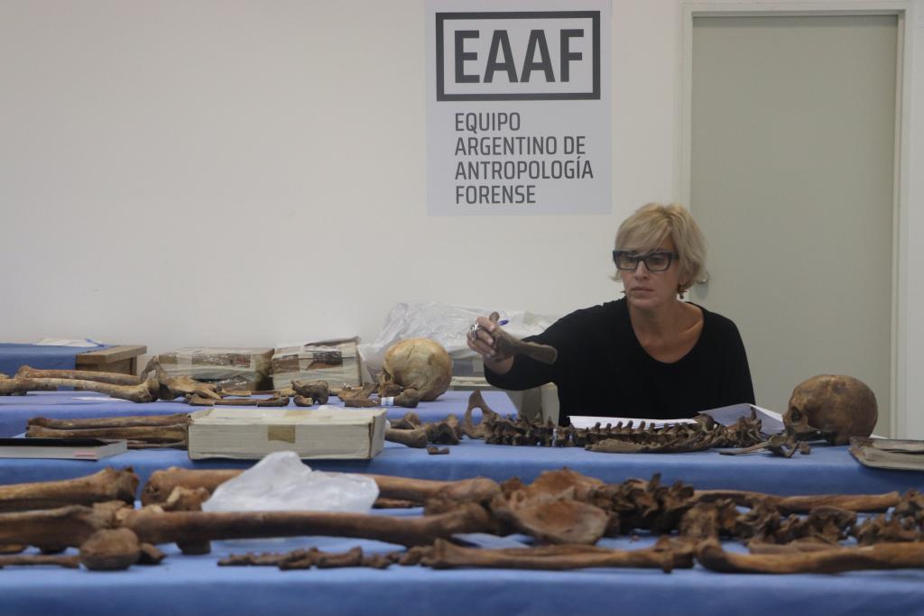 Az EAAF egyik munkatársa munka közben