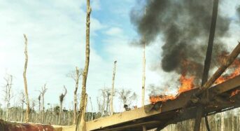 Bolívia a tűzvészek miatt kilenc százalékos esőerdő-veszteséget szenvedett