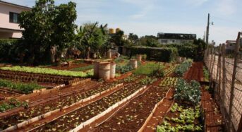 Kuba és Brazília megállapodtak az élelmezésbiztonság érdekében tett lépésekről