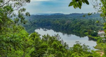Suriname az erdőinek 90 százalékát tartósan meg akarja védeni