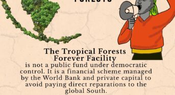 La Vía Campesina klímaigazságosságot követel