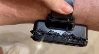 Bolsonaro forrasztópáka-akciója