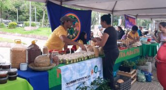 A paraguayi vetőmagvásár bemutatja a helyi fajták sokszínűségét