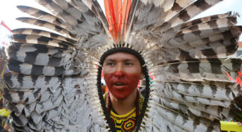 Az esőerdő-alap finanszírozása megvalósítható?