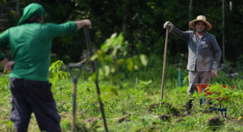 Több nettó jövedelem a szegényeknek: Brazília küzdelme a szegénység ellen