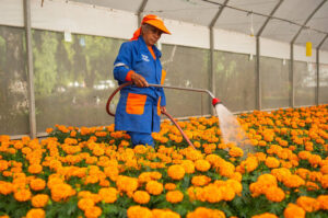 Dolgozni, gürcölni, küzdeni – de már nem olyan sokáig, 2030-tól csak 40 óra helyett a jelenlegi 48 óra helyett