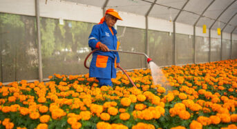 A mexikói kormány korlátozza a munkanapokat