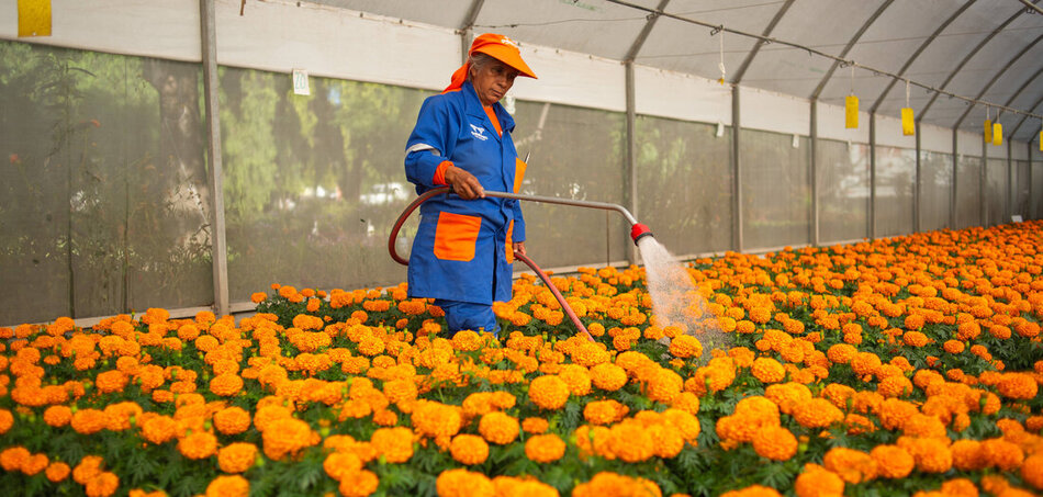 Dolgozni, gürcölni, küzdeni – de már nem olyan sokáig, 2030-tól csak 40 óra helyett a jelenlegi 48 óra helyett