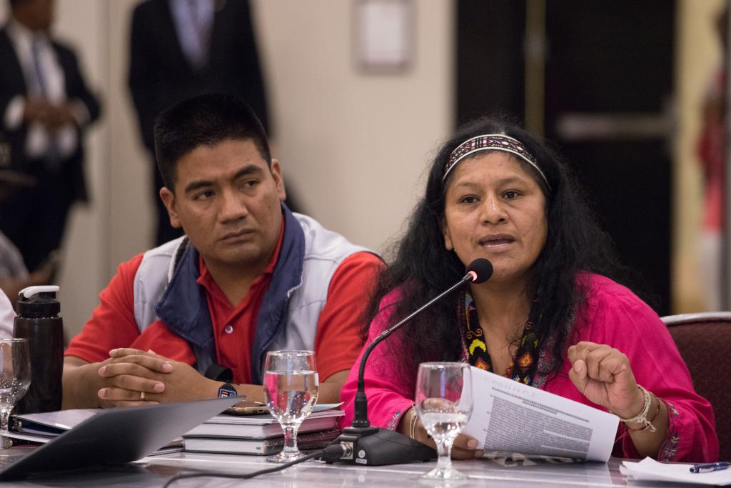 Az őslakos aktivista és politikus aktívan részt vett a kolumbiai békefolyamatokban