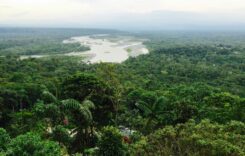 Ecuador és az amerikai hadsereg támadása egy tejtermelő gazdaságot ért, nem pedig egy kolumbiai drogbandát