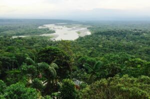 Ezen a területen, a kolumbiai és ecuadori határ közelében bombázták a gazdaságot az USA segítségével