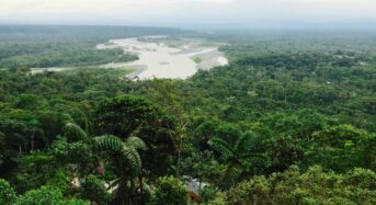 Ecuador és az amerikai hadsereg támadása egy tejtermelő gazdaságot ért, nem pedig egy kolumbiai drogbandát