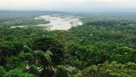 Ecuador és az amerikai hadsereg támadása egy tejtermelő gazdaságot ért, nem pedig egy kolumbiai drogbandát