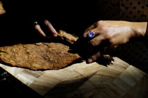 Devizaszektor: az amerikai blokád és az energiaválság megbénítja Kuba szivariparát