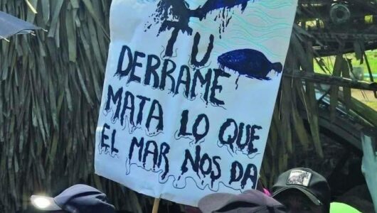 A Pemex elismeri felelősségét a mexikói olajszennyezésért, a környezetvédő szervezetek következményeket követelnek