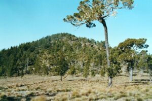 A Romero-bányát a Cordillera Central hegyláncban tervezték. A képen a Pico Duarte, a hegylánc és a Karib-térség legmagasabb hegye