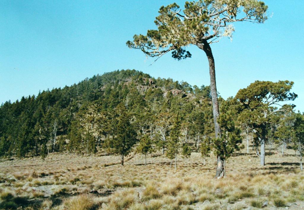 A Romero-bányát a Cordillera Central hegyláncban tervezték. A képen a Pico Duarte, a hegylánc és a Karib-térség legmagasabb hegye