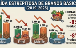 El Salvador: Válság az agrárszektorban