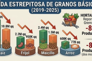 El Salvador mezőgazdasága mély válságban van. Míg a kistermelők a költségek emelkedéséről, a növekvő bizonytalansá