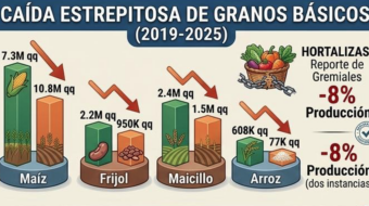 El Salvador: Válság az agrárszektorban