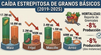 El Salvador: Válság az agrárszektorban