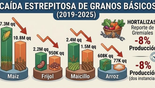 El Salvador: Válság az agrárszektorban