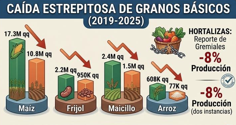 El Salvador mezőgazdasága mély válságban van. Míg a kistermelők a költségek emelkedéséről, a növekvő bizonytalansá