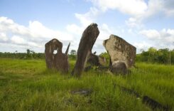 A brazíliai régészeti leletek hozzájárulnak az Amazonas védelméhez