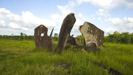 A brazíliai régészeti leletek hozzájárulnak az Amazonas védelméhez