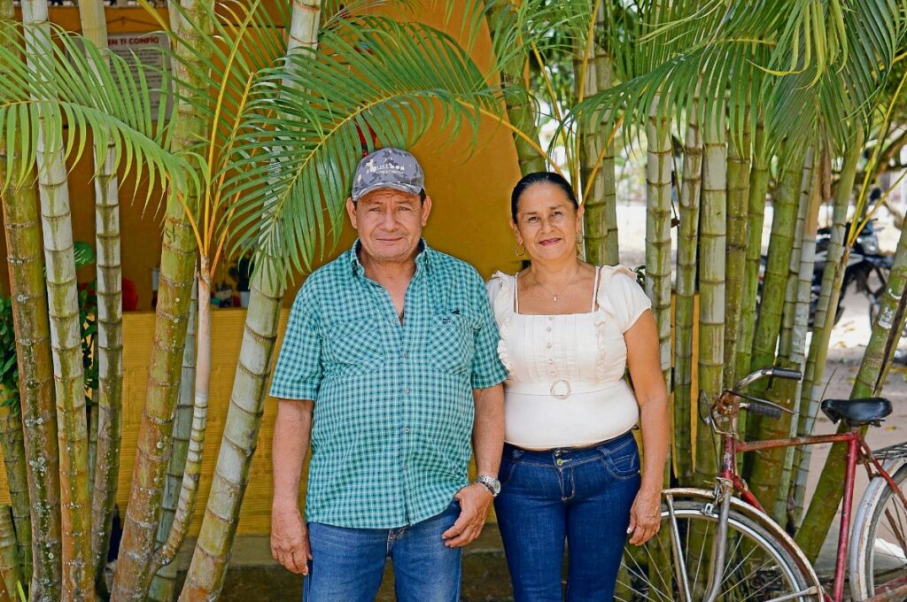 Az 54 éves Edilma Galindo Rondón és 56 éves férje, Rogelio Rondón azok közé a családok közé tartoznak, akik egy-két hektáron termesztenek rizst