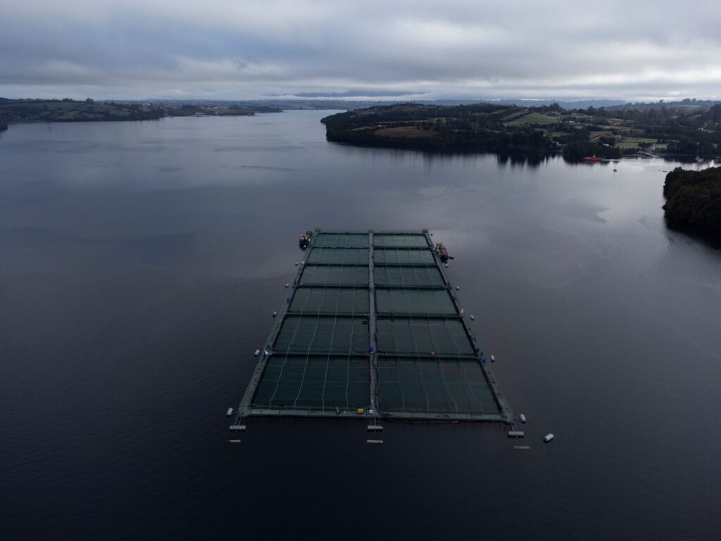 Lazacfarm Puqueldónban, Chiloé-sziget egyik településén, Los Lagos régióban