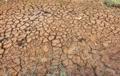 El Niño: aszály, legmagasabb riasztási szint Hondurasban, a Panama-csatorna is érintett