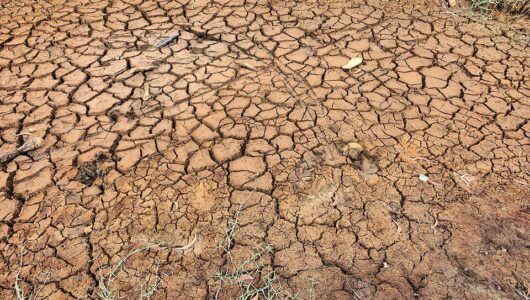 El Niño: aszály, legmagasabb riasztási szint Hondurasban, a Panama-csatorna is érintett