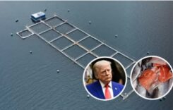 Az USA új vámokkal sújtja Chile gazdaságát