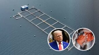 Az USA új vámokkal sújtja Chile gazdaságát
