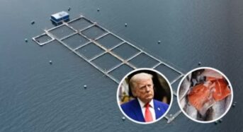 Az USA új vámokkal sújtja Chile gazdaságát