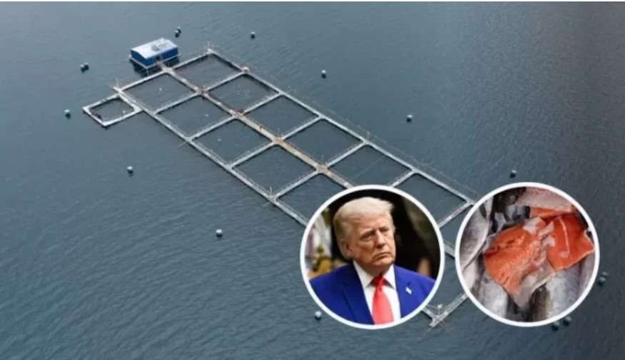Annak ellenére, hogy José Antonio Kast szélsőjobboldali kormánya szorosan együttműködik a Trump-kormánnyal, Washington magas vámokat vet ki Chile ellen