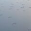 Panama az El Niño miatt korlátozza a csatornán való áthaladást