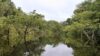 Brazília második forduló előtt: utolsó esély az Amazonas számára?